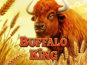 Buffalo King